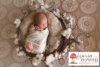 Little Red Door Photography - Gift Voucher